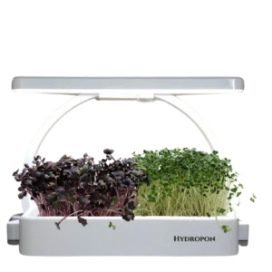 Microgreens Indoor-Garten – Frische Kräuter & Superfoods selbst kultivieren!