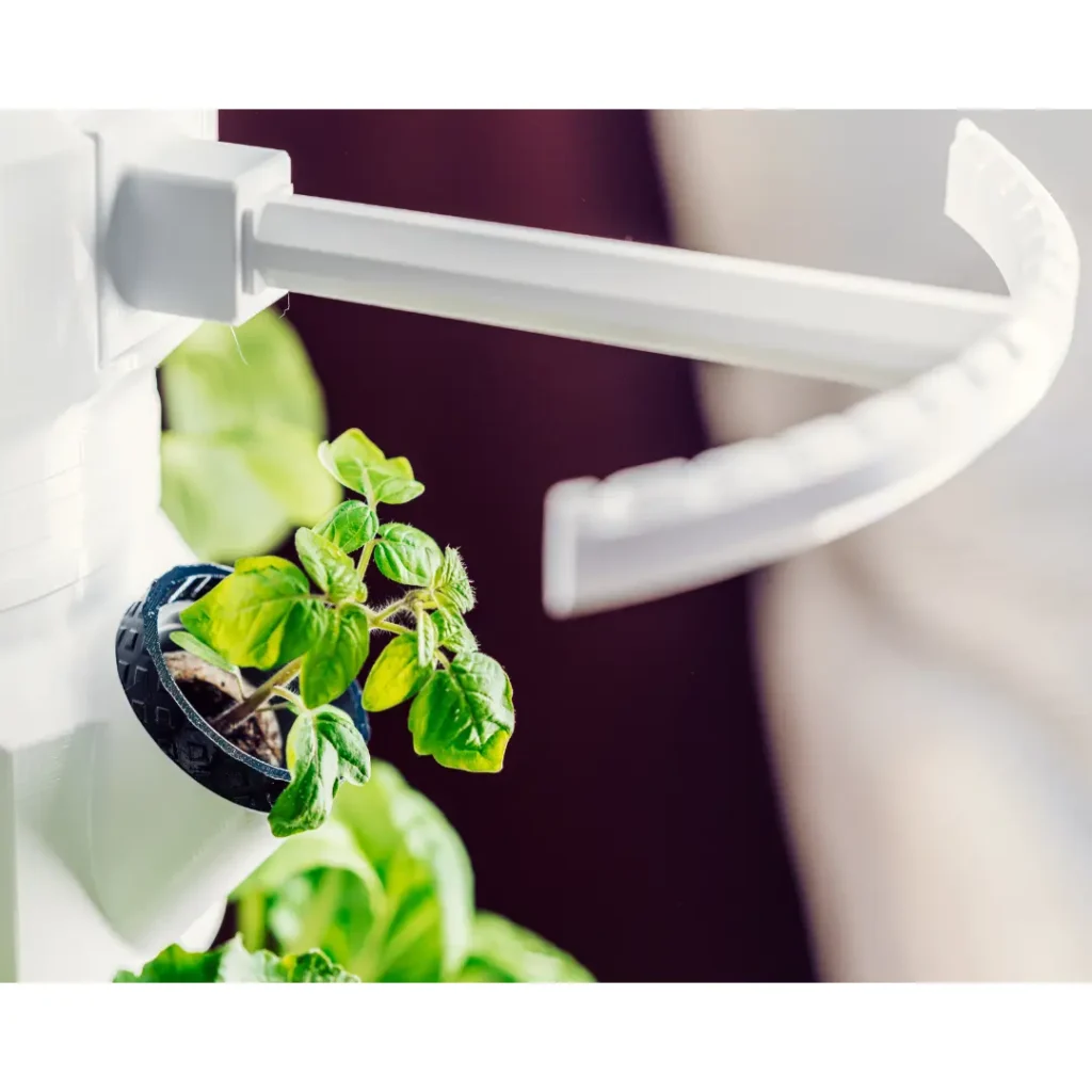 Design ohne Titel 6 HomeGarden
