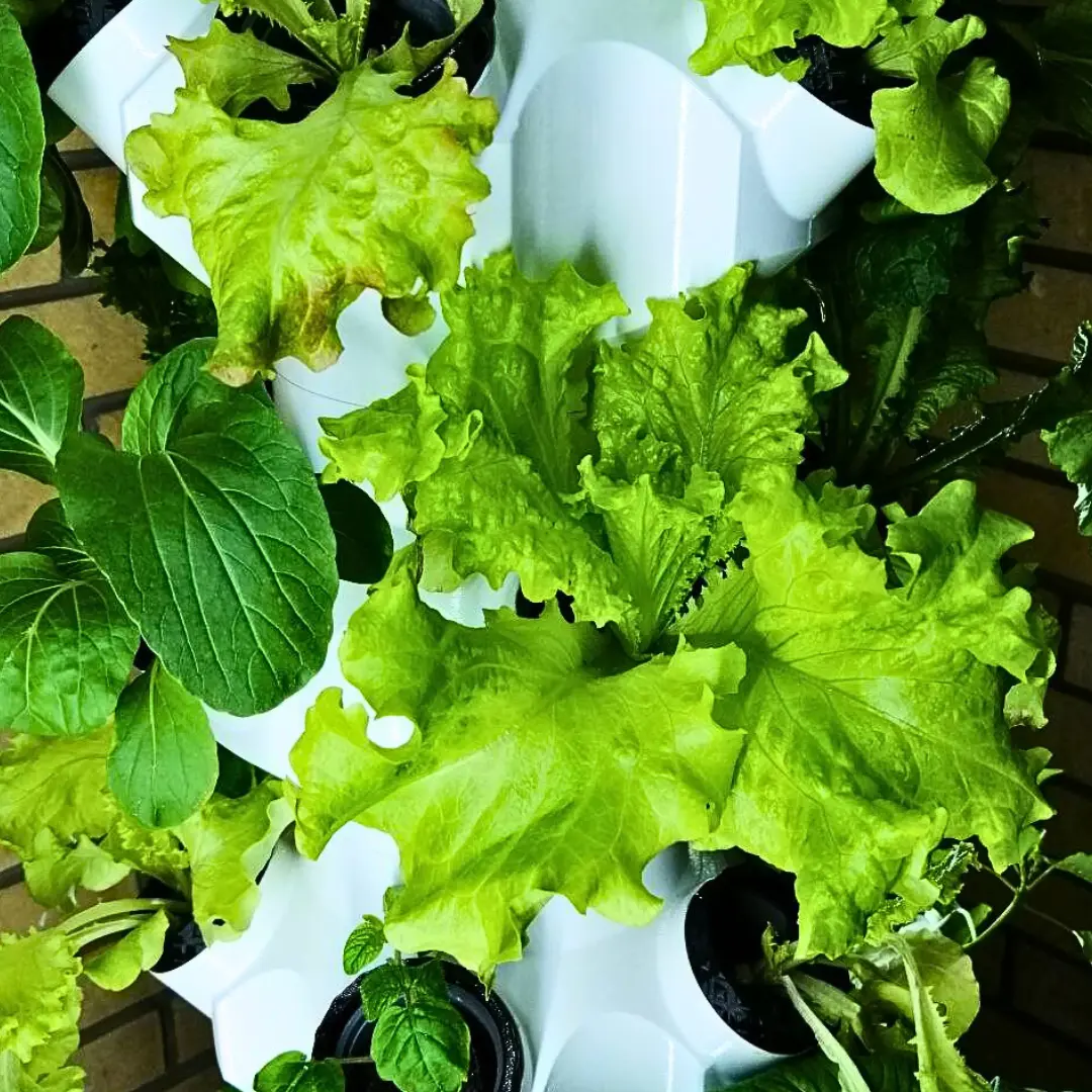 HomeGarden Pflanzenturm
