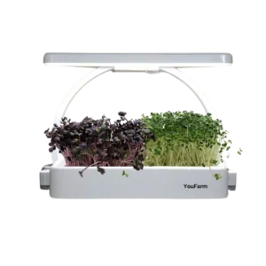 Microgreens Indoor-Garten – Frische Kräuter & Superfoods selbst kultivieren!