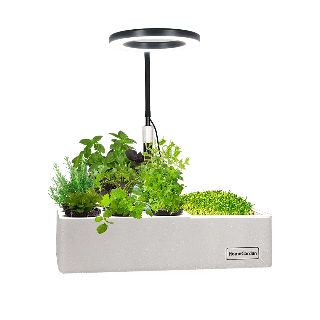mmmm1 HomeGarden