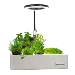 Mini-Garten/ Anzuchtstation