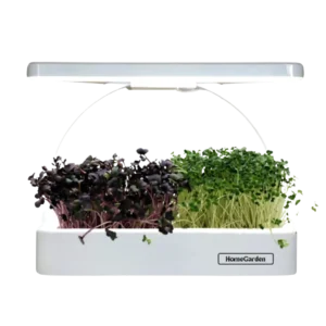 Microgreens Stationen