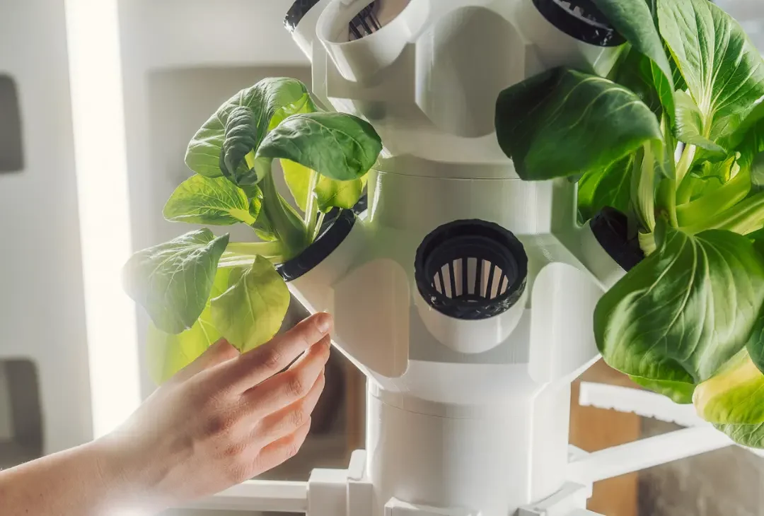 Hydroponik-System für Indoor-Garten - Professionelle Pflanzenanzucht zu Hause bei homegarden.bio