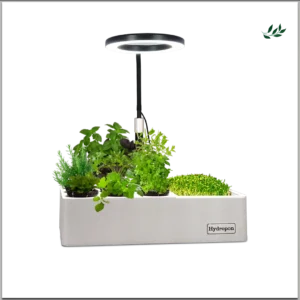 Professionelle Anzuchtstation für Hydroponik und Indoor Gardening - Pflanzenzucht zu Hause bei homegarden.bio