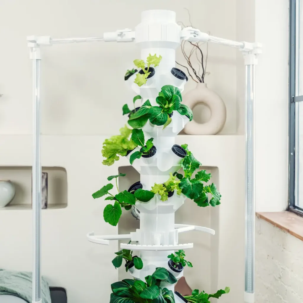 Hydroponik Indoor Garten System für Zuhause - Moderne Pflanzenzucht ohne Erde bei homegarden.bio