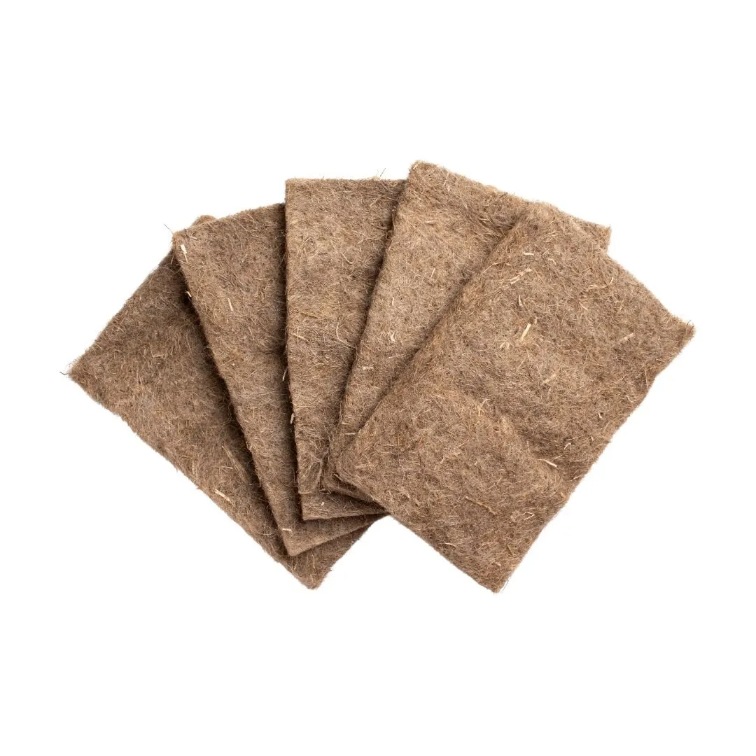 Hydroponik-System für Indoor-Garten - Moderne Pflanzenzucht ohne Erde für Zuhause bei homegarden.bio