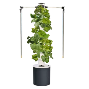 Hydroponik Indoor Garten Setup mit LED-Beleuchtung für homegarden.bio - professionelle Pflanzenanzucht zuhause