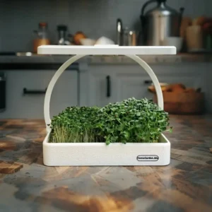 Microgreen Station für Indoor-Anbau - Hydroponik System für frische Microgreens zuhause züchten bei homegarden.bio