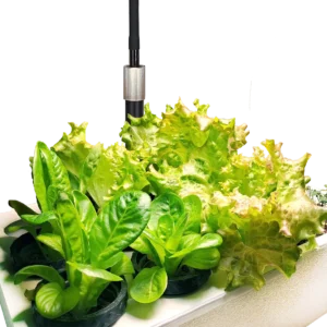Mini-Garten-Salatbar für Hydroponik Indoor-Gardening - frische Salate zuhause anbauen bei homegarden.bio