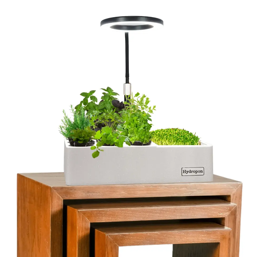 Kräutergarten mit Beleuchtung, stehend auf einem Beistelltisch, voll bepflanzt mir Kräutern und Microgreens