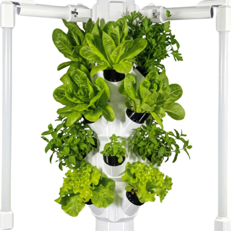 TT vergrößert.freigestellt