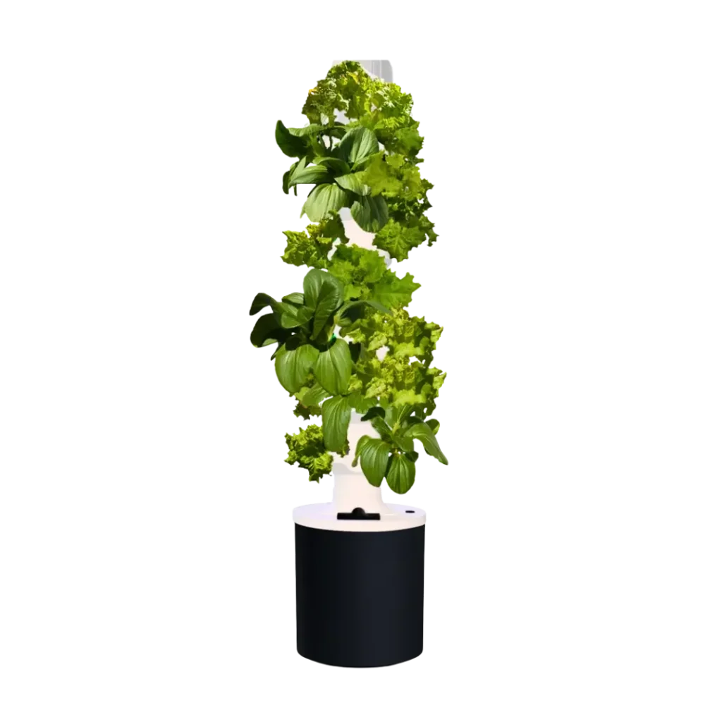 Hydroponik-System für Indoor-Garten - Professionelle Pflanzenzucht zu Hause bei homegarden.bio