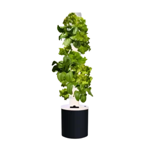 Hydroponik-System für Indoor-Garten - Professionelle Pflanzenzucht zu Hause bei homegarden.bio