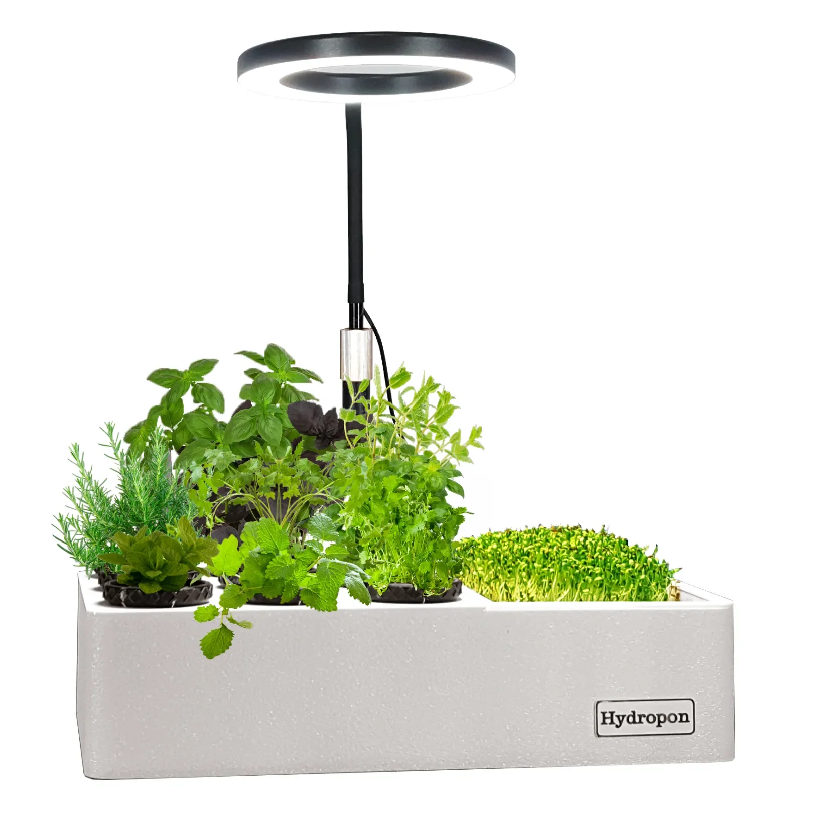Kräutergarten mit frischen Kräutern in Hydroponik-System für Indoor-Gardening - homegarden.bio Anbau-Lösung
