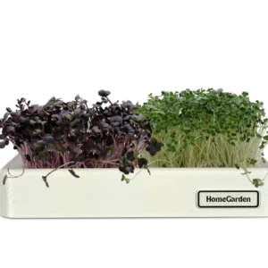 HomeGarden Microgreens Station