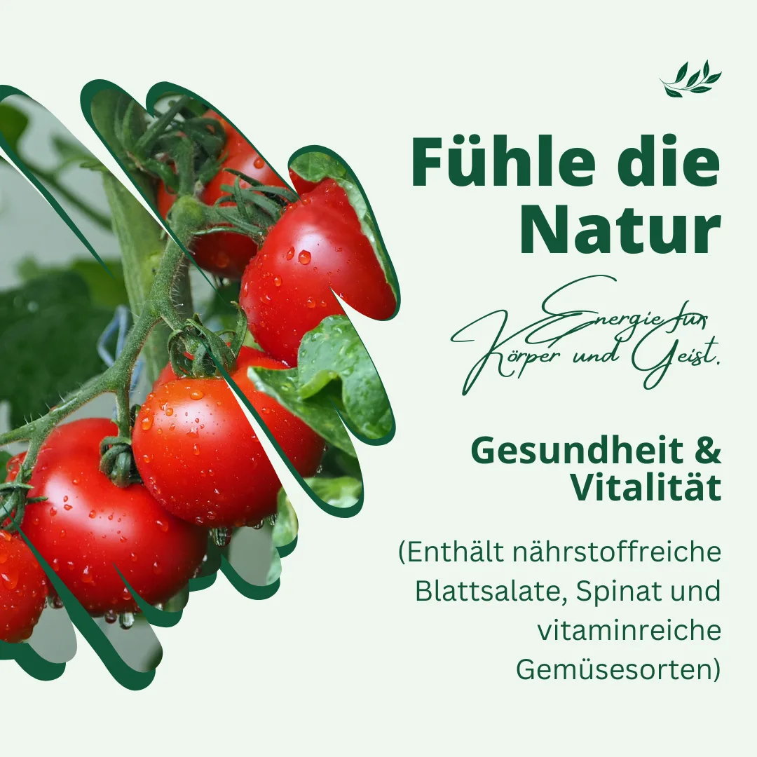 Vital-Mix Microgreens Saatgut-Set