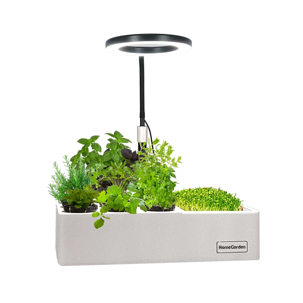 HomeGarden Microgreens Station mit frischen Microgreens