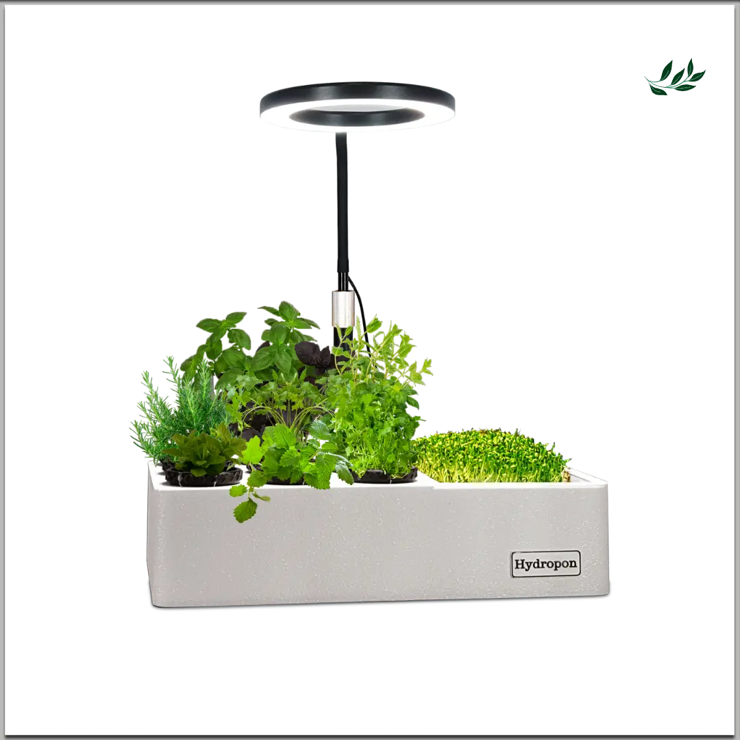 Mini Garten Anzuchtstation in der Küche