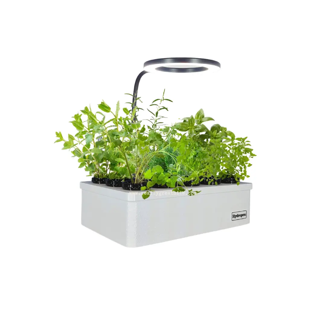 Mini Garten ohne Microgreens-Einsatz