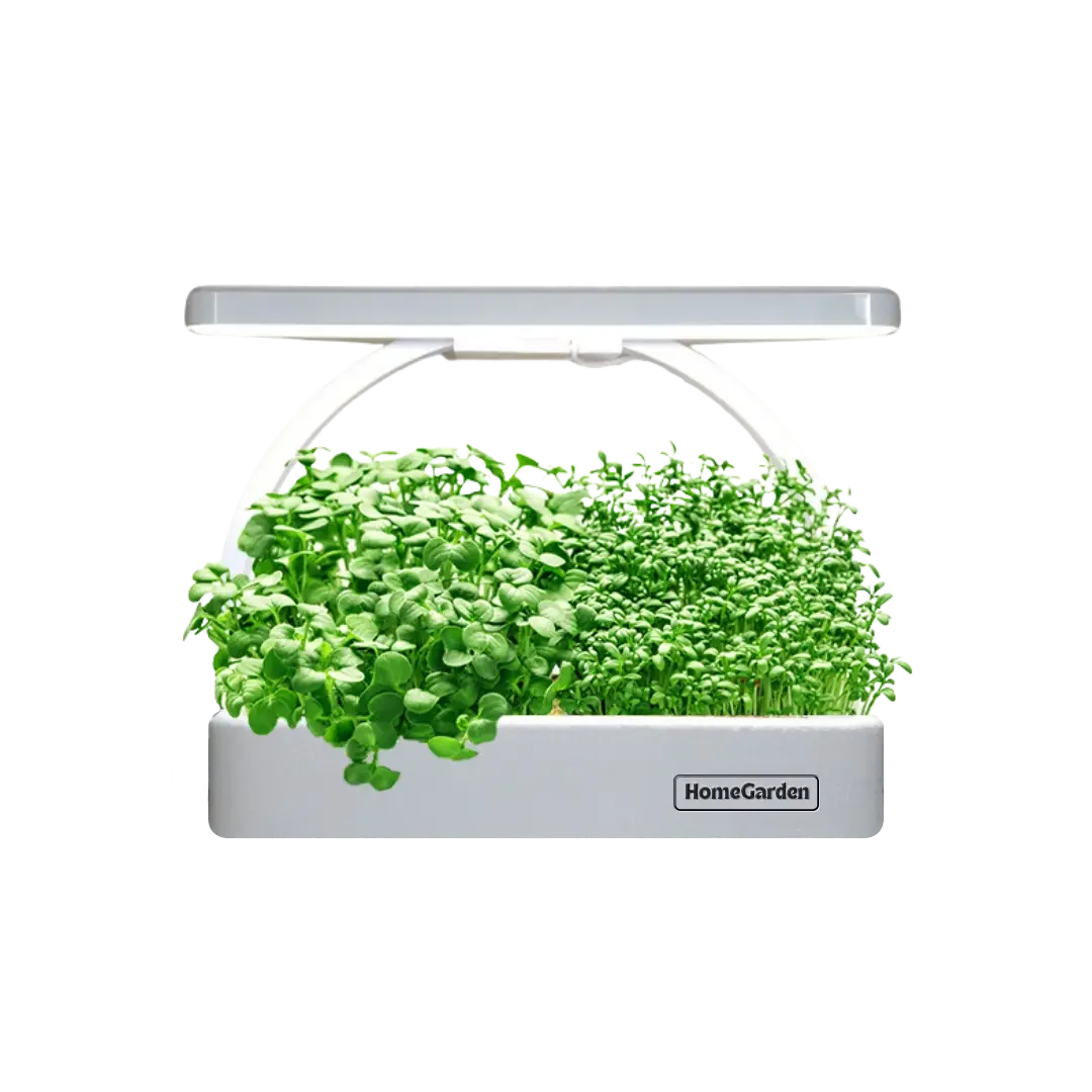 Microgreens Station