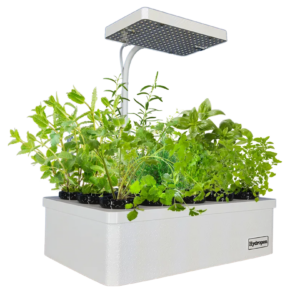 Mini Garten Hydroponik Anzuchtstation