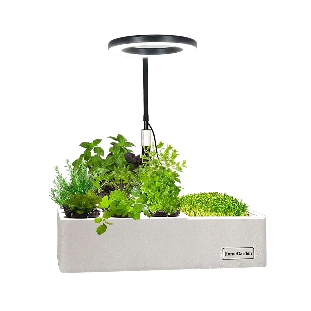 HomeGarden Mini Garten Hydroponik-Anzuchtstation mit LED-Ringlicht, bepflanzt mit Kräutern und Microgreens