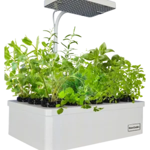 HomeGarden Anzuchtstation: weißes Hydroponik-Gerät mit 15 Plätzen, dicht bepflanzt mit jungen Kräutern, darüber die eckige LED-Panel-Lampe