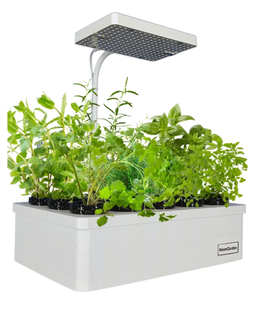 HomeGarden Anzuchtstation: weißes Hydroponik-Gerät mit 15 Plätzen, dicht bepflanzt mit jungen Kräutern, darüber die eckige LED-Panel-Lampe