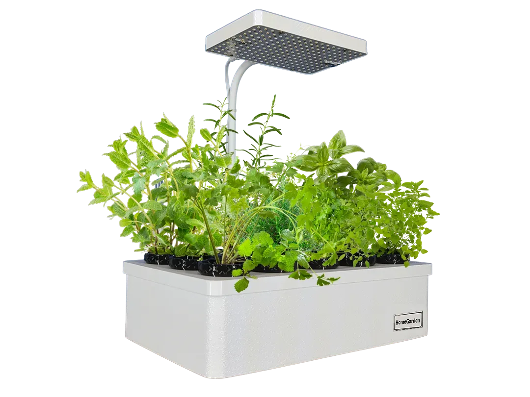 HomeGarden Anzuchtstation von der Seite: 15 junge Kräuter unter der LED-Panel-Lampe