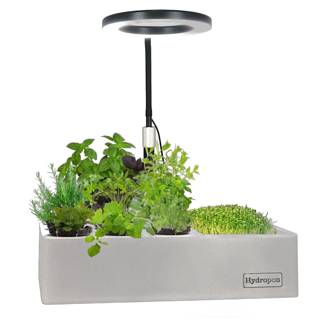 Mini Garten Kräuter-Garten 2-in-1 freigestellt: weißes Hydroponik-Gerät mit Kräutern links und einer Microgreens-Schale rechts, darüber die runde Ringlampe am Schwanenhals