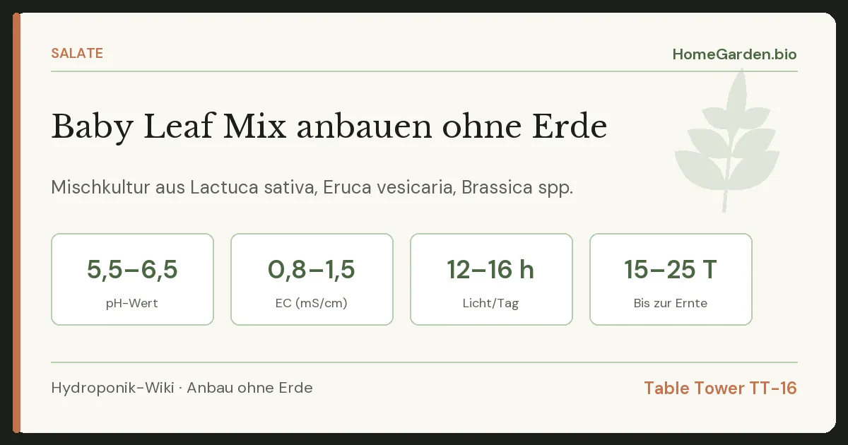 Baby Leaf Mix anbauen ohne Erde
