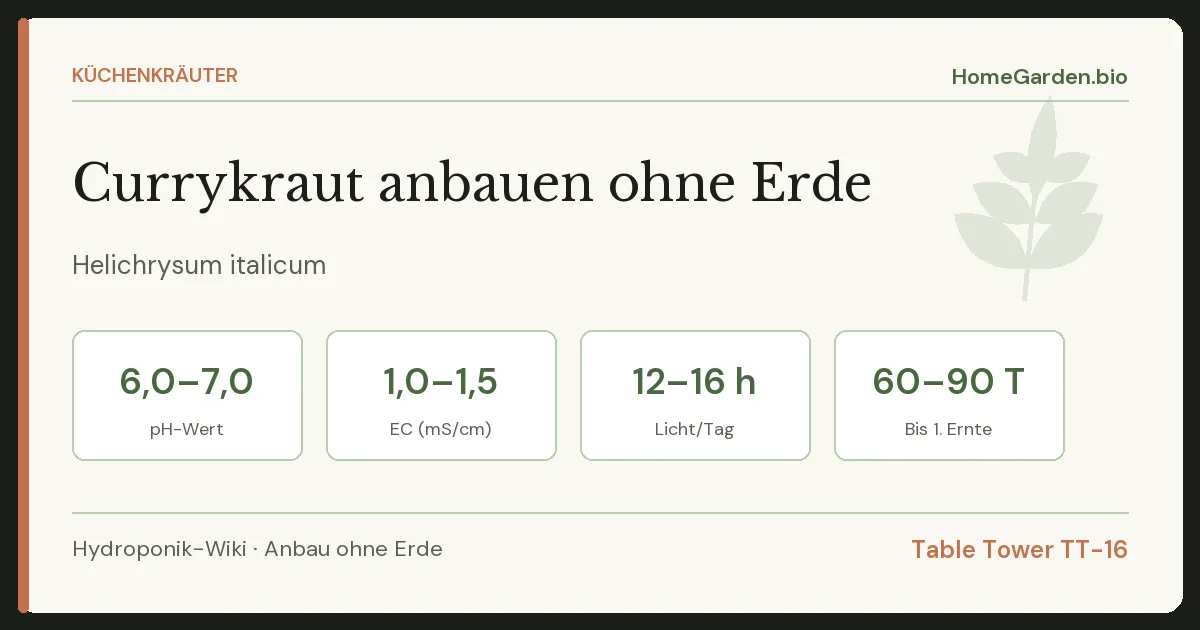 Currykraut anbauen ohne Erde