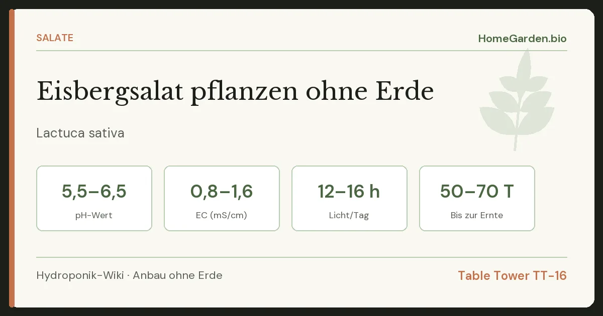 Eisbergsalat pflanzen ohne Erde