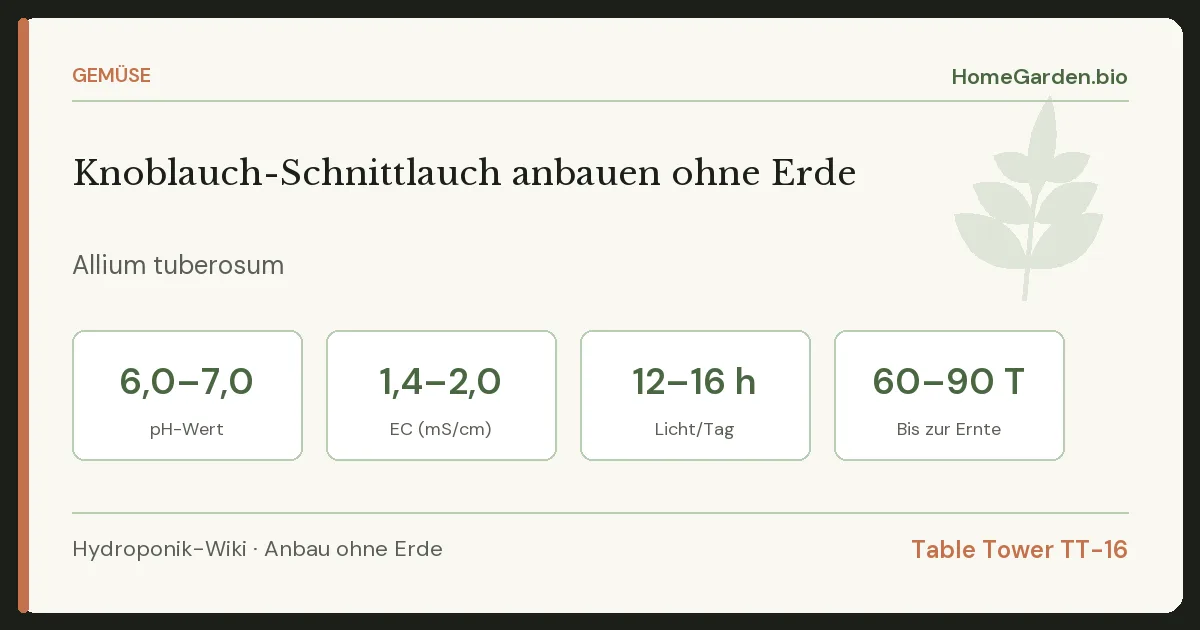 Knoblauch-Schnittlauch anbauen ohne Erde