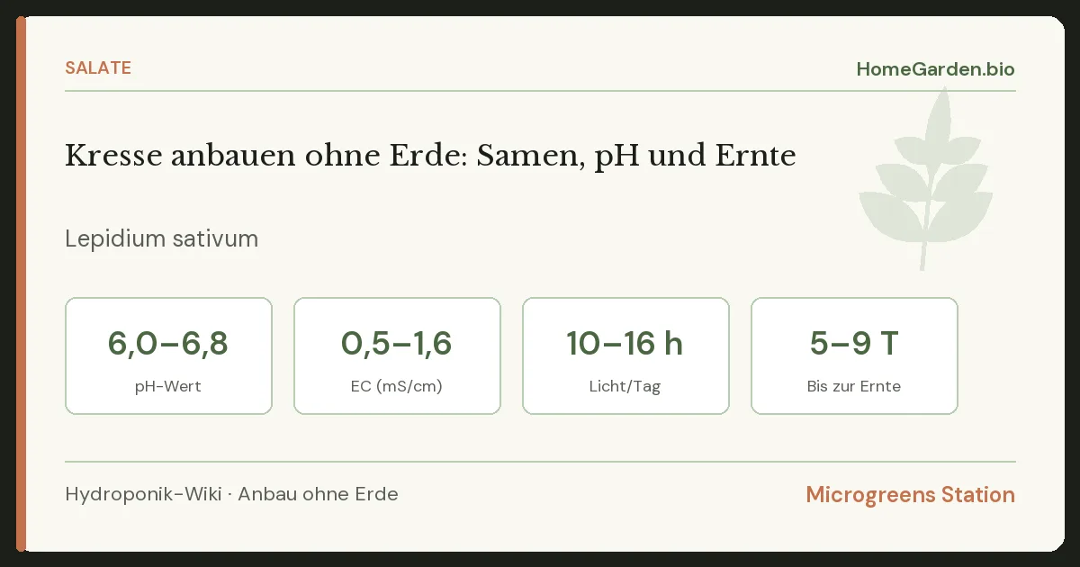 Kresse anbauen ohne Erde: Samen, pH und Ernte