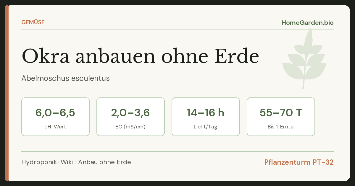 Okra anbauen ohne Erde
