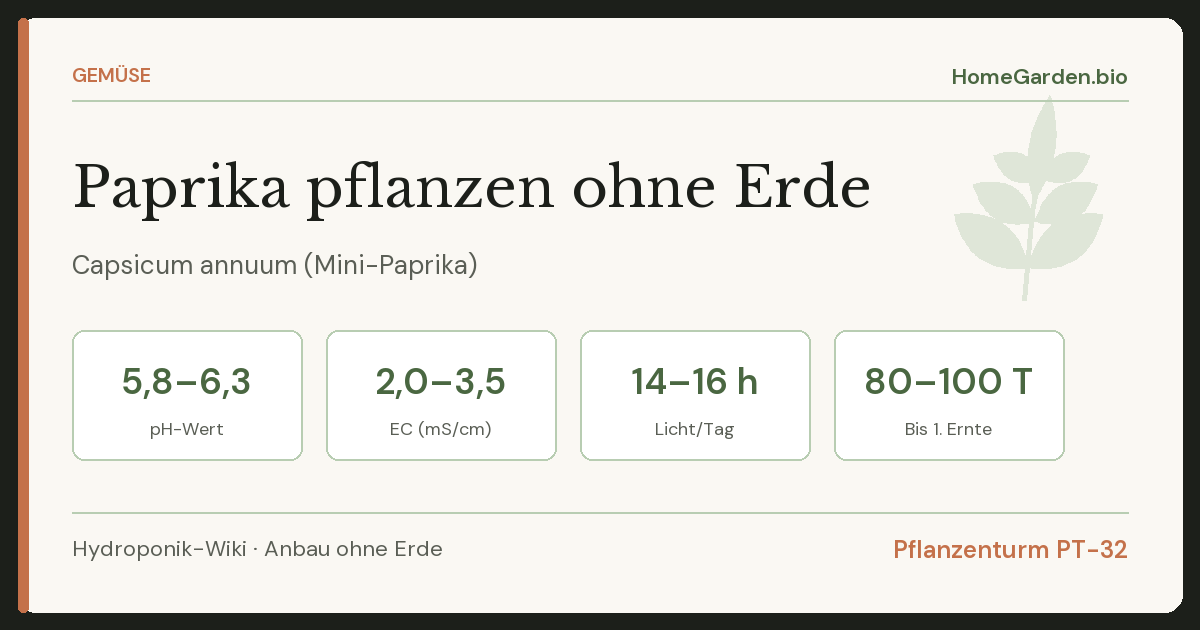 Paprika pflanzen und pflegen – drinnen, das ganze Jahr