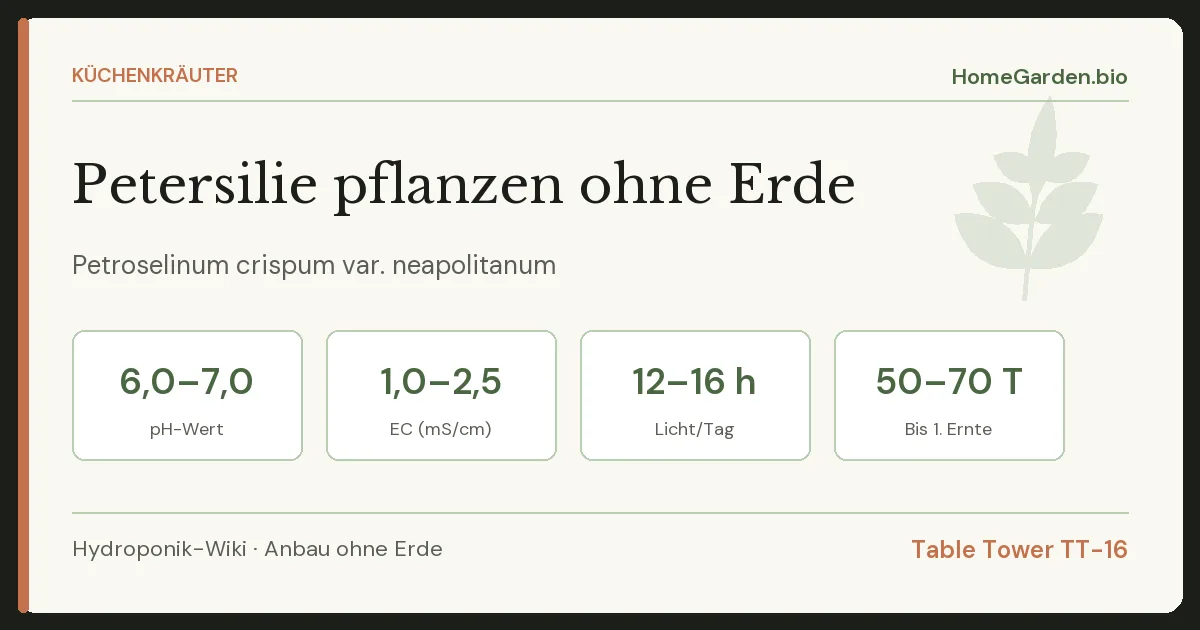 Petersilie pflanzen ohne Erde