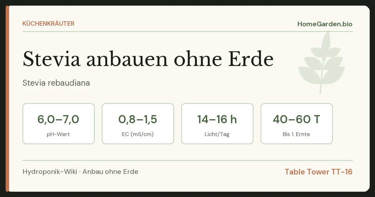 Stevia anbauen ohne Erde