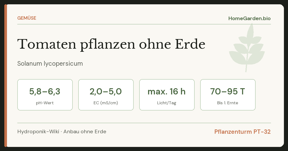 Tomaten pflanzen und pflegen – drinnen, das ganze Jahr