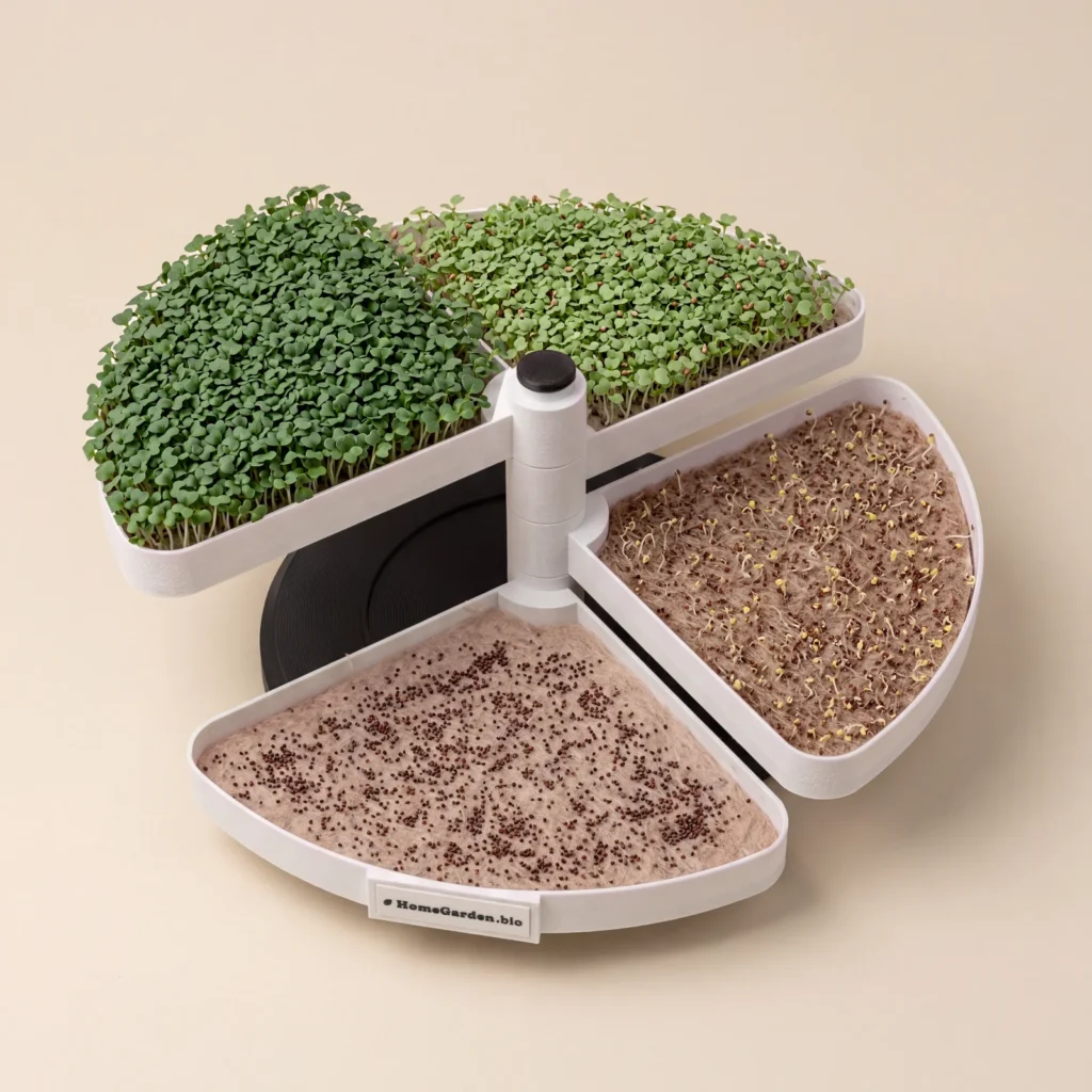 HomeGarden Microgreens Station Wendel: vier drehbare Schalen mit Microgreens in vier Wachstumsstufen von der Aussaat bis zur Ernte