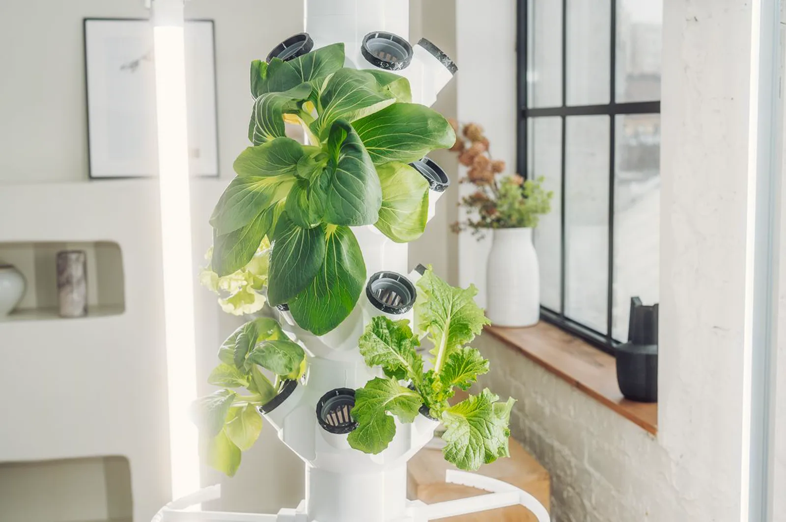 Weißer Pflanzturm mit Pak Choi und Salat in einem hellen Wohnraum vor einem Fenster, daneben ein senkrechter LED-Leuchtstab