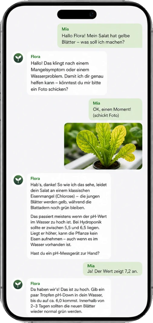 Beispiel-Unterhaltung auf dem Smartphone: Eine Nutzerin fragt FLORA wegen gelber Salatblätter, FLORA fragt nach einem Foto und erklärt Eisenmangel und pH-Wert